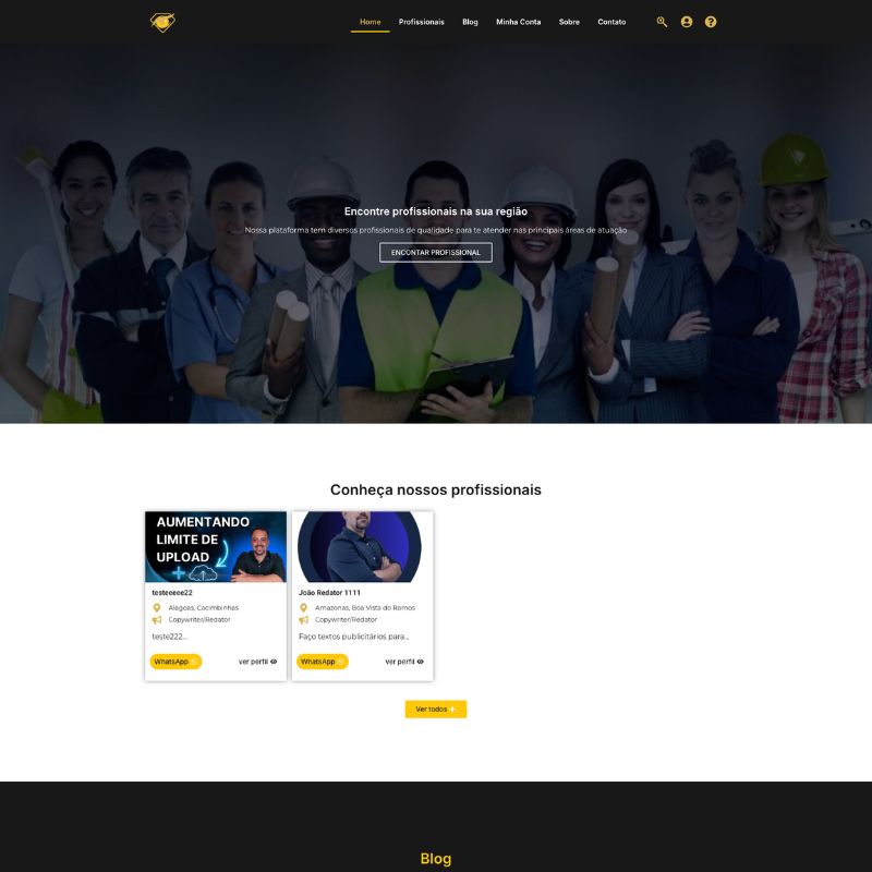 Home do Template Site de Classificados Profissionais WordPress