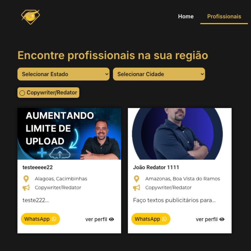 Filtros de busca por Estado Cidade e Profissão no WordPress